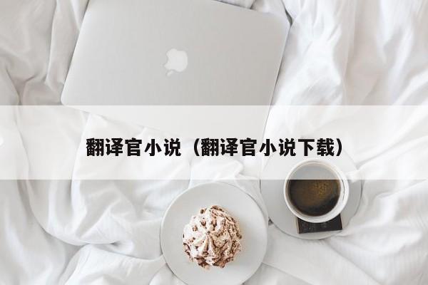 翻译官小说（翻译官小说下载）