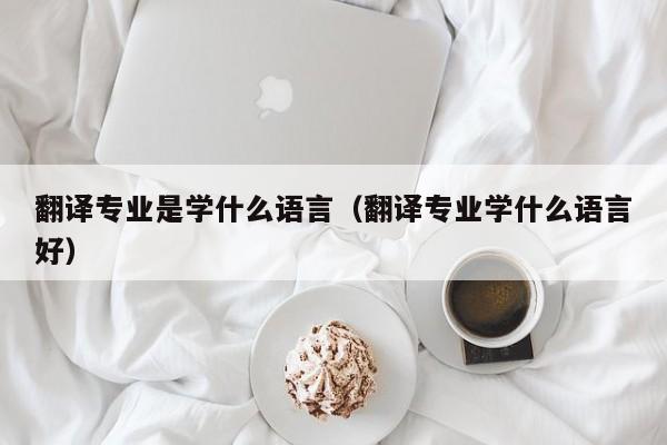 翻译专业是学什么语言（翻译专业学什么语言好）