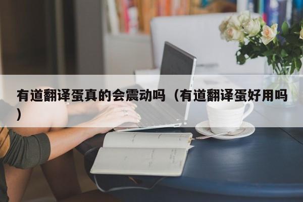 有道翻译蛋真的会震动吗（有道翻译蛋好用吗）