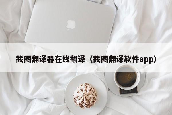 截图翻译器在线翻译（截图翻译软件app）