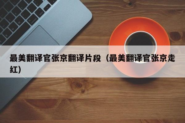 最美翻译官张京翻译片段（最美翻译官张京走红）