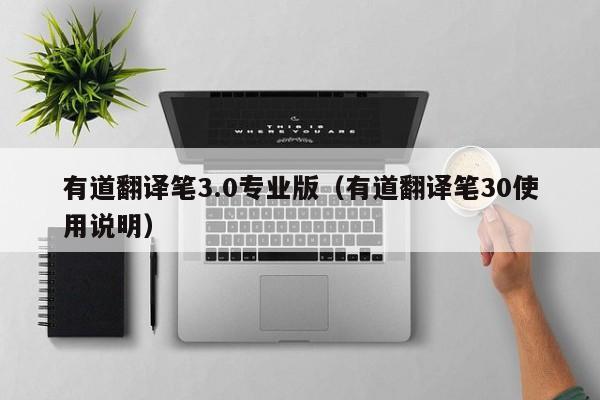 有道翻译笔3.0专业版（有道翻译笔30使用说明）