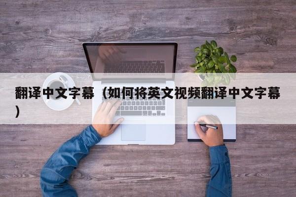 翻译中文字幕（如何将英文视频翻译中文字幕）