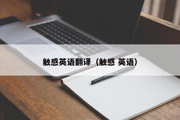 触感英语翻译（触感 英语）