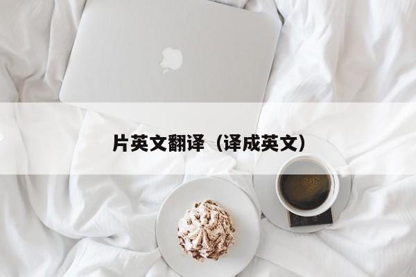 片英文翻译（译成英文）