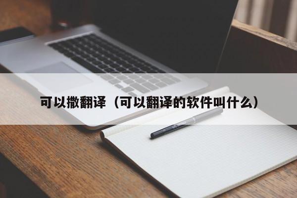 可以撒翻译（可以翻译的软件叫什么）