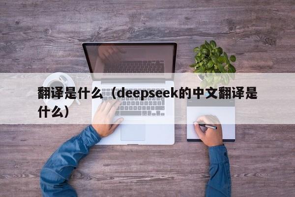 翻译是什么（deepseek的中文翻译是什么）